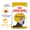 Royal Canin - FBN Persian Adulto 2 Kg - Gato