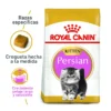 Royal Canin - FBN Persian Kitten 2 Kg - Gato