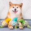 perro-con-juguetes-dinosaurio