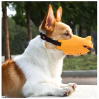 Bozal Silicona Rinoceronte