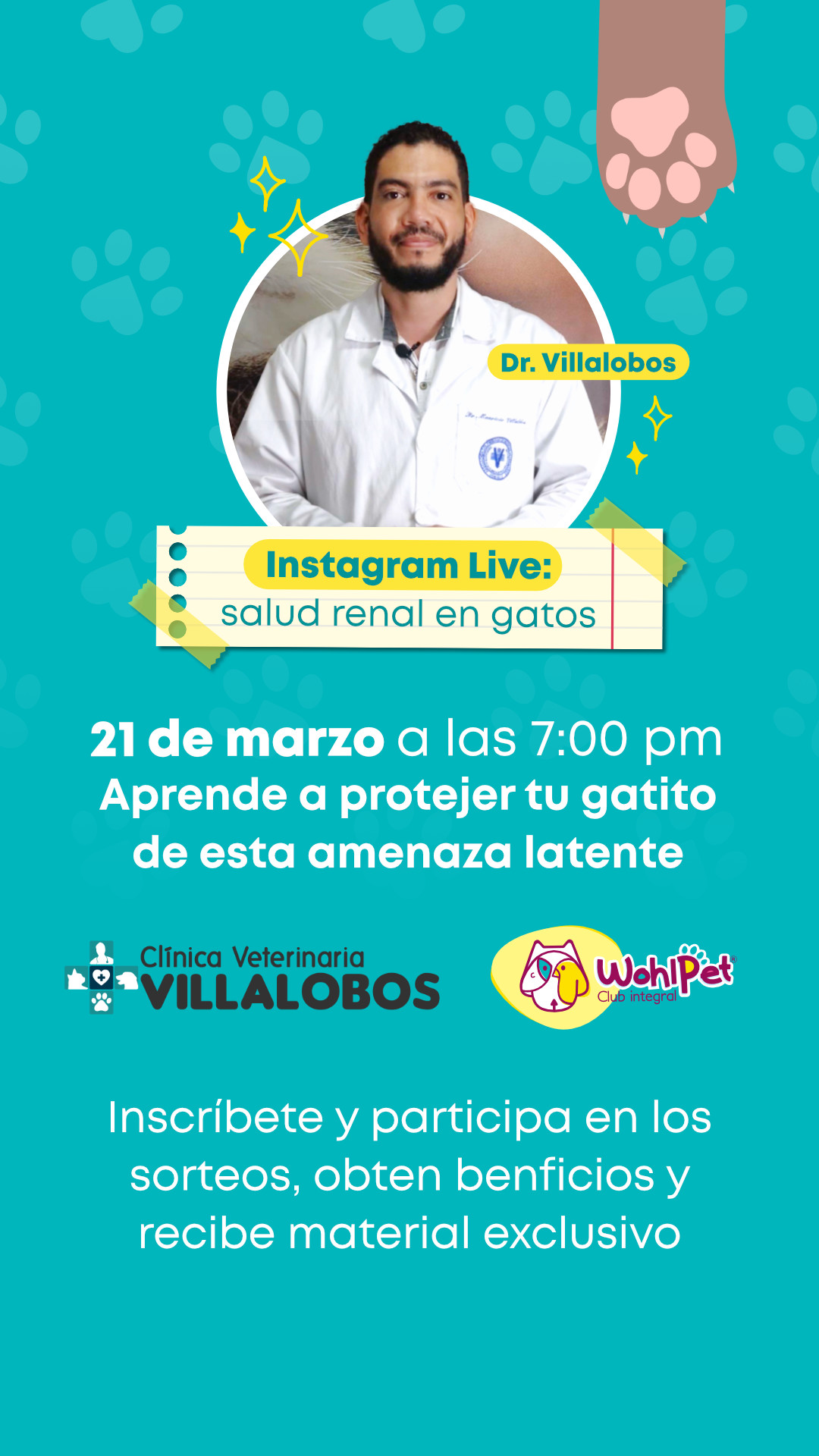 charla salud renal en gatos