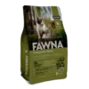 fawna-gatitos