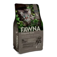 fawna-gato-adulto