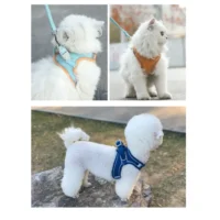 TRAÍLLA Y ARNÉS IMITACIÓN CUERO NOBUCK