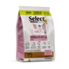 monello-select-madres-y-gatitos