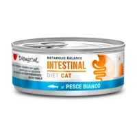 Disugual-Cat-Intestinal-pescado