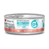 Disugual-Cat-Recovery-Salmon