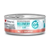 Disugual-Cat-Recovery-Salmon