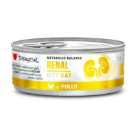 Disugual-Cat-Renal-Pollo