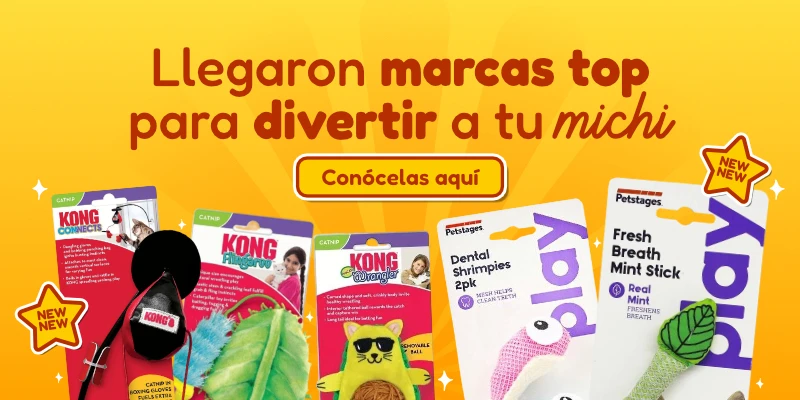banner kong cat y petstaget