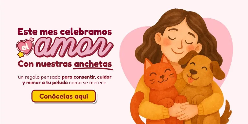 Banner amor y amistad