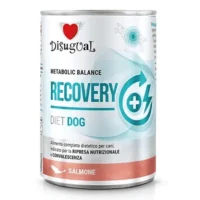 DISUGUAL Recovery Diet para Perros – Lata Salmón 400 g