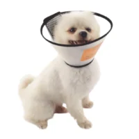 Collar Isabelino Transparente para Mascotas – Protección Suave y Visibilidad Total