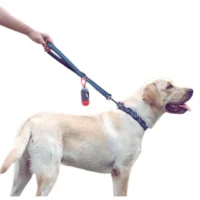 Correa One Step para Perros – Resistente, Segura y Antidesgaste 47 cm