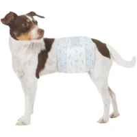 PAÑAL PARA MACHO – Protección y Seguridad para tu Peludito - Talla L 8 a 14 kg