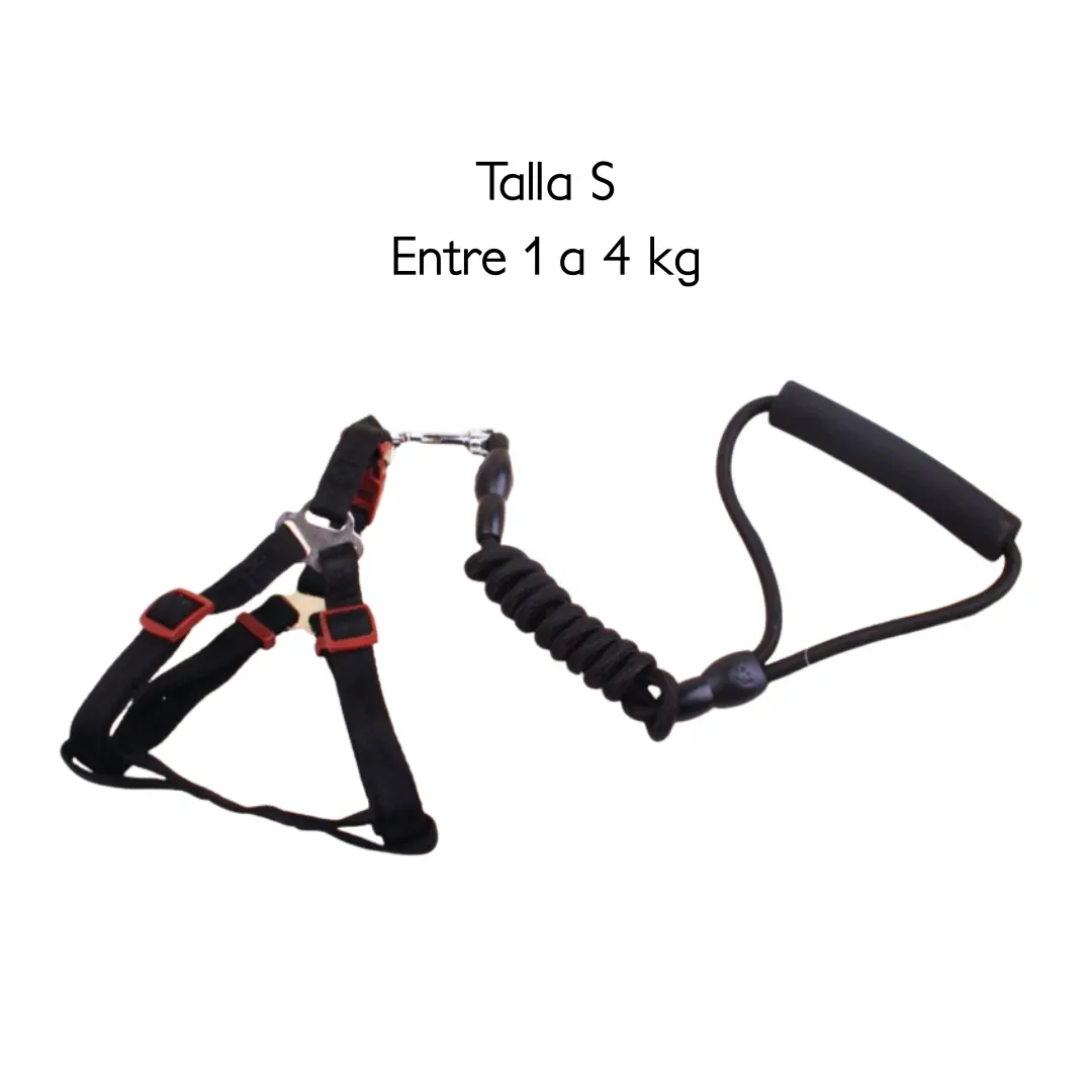 Traílla con Arnés Estilo Paracaídas para Perros Talla S – Control Seguro, Cómodo y Antitirones 2 Traílla con Arnés Estilo Paracaídas para Perros Talla S – Control Seguro, Cómodo y Antitirones - Imagen 2
