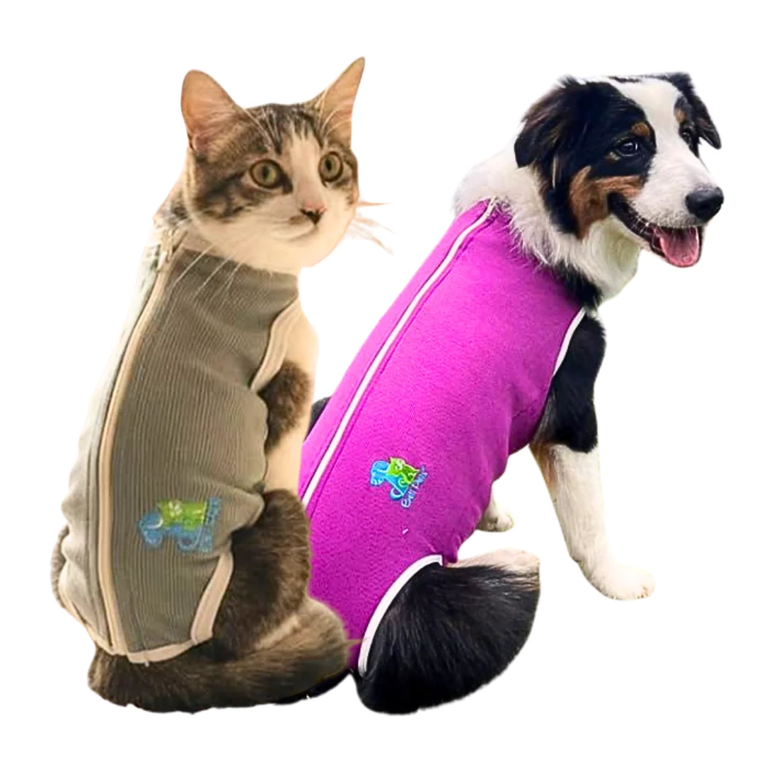 Faja BeltPets para mascotas – Protección y Recuperación Cómoda