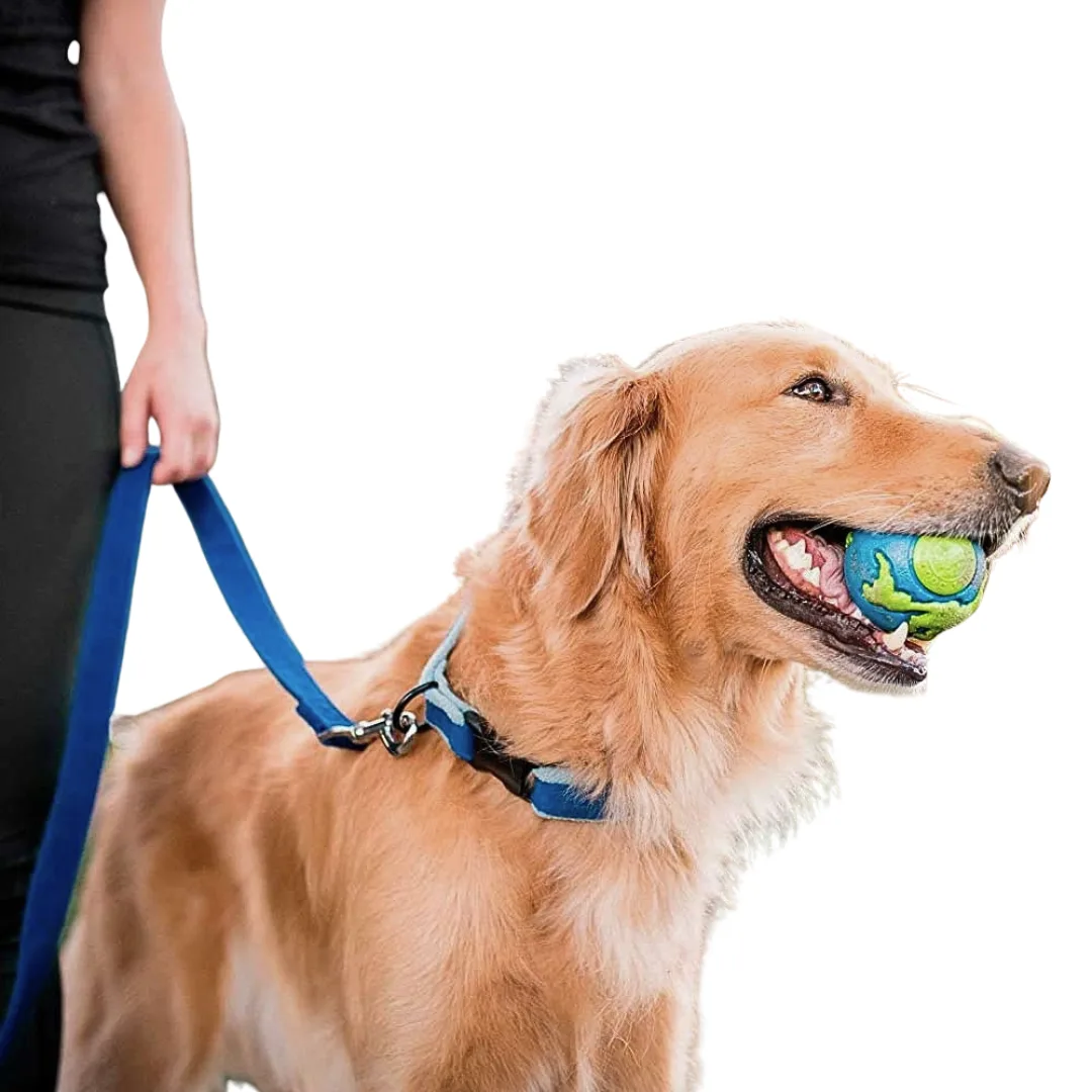 Petstages Planet Ball - Pelota Interactiva Resistente con Dispensador de Snacks 2 Petstages Planet Ball - Pelota Interactiva Resistente con Dispensador de Snacks - Imagen 2