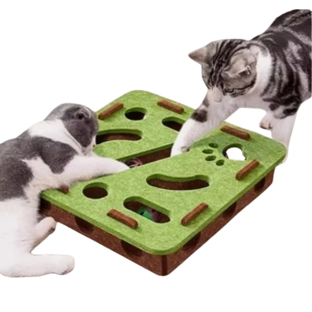 Caja de Juego Interactiva para Gatos – Juguete de Estimulación Mental y Diversión