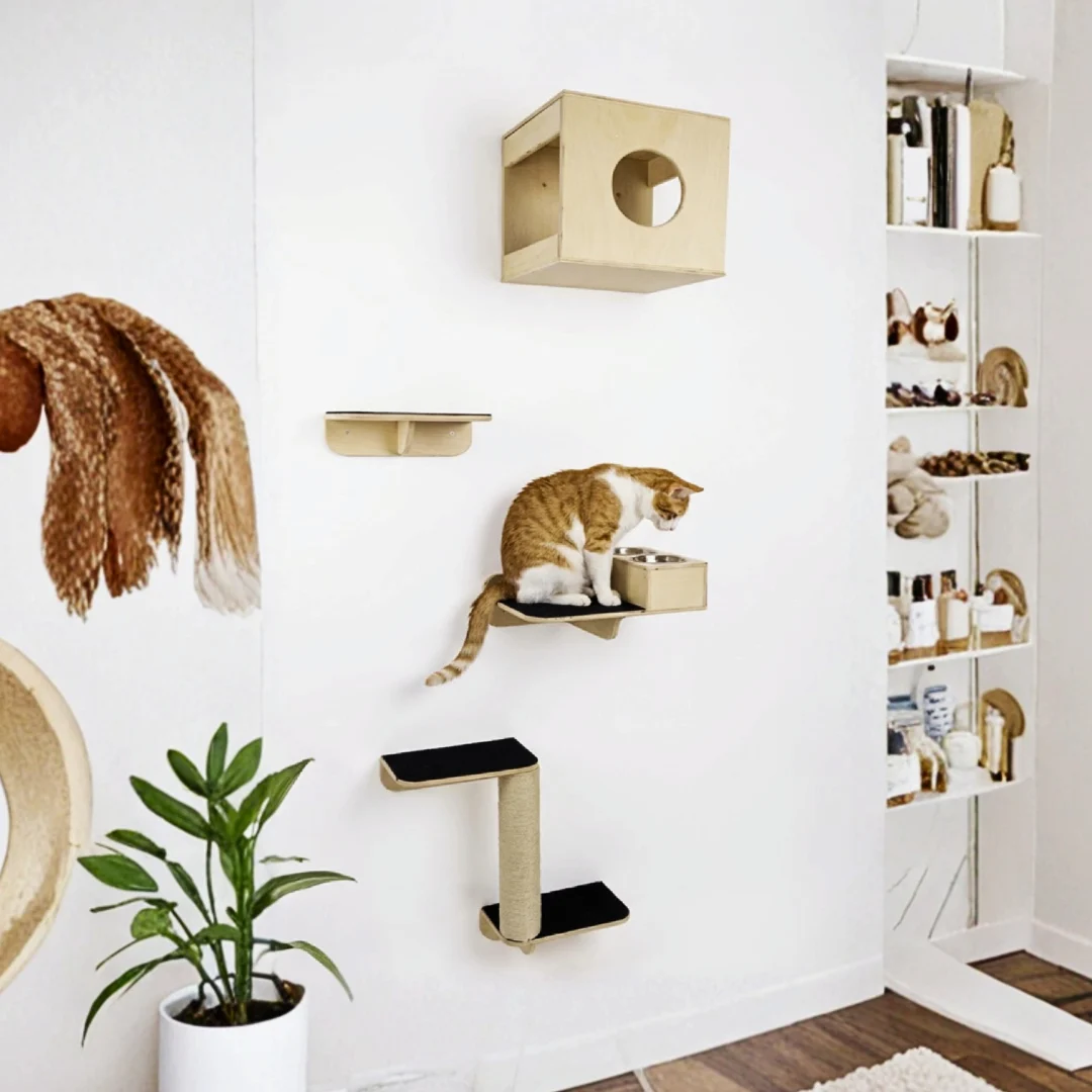 Gimnasio Pared - con Comedero Integrado para Gatos - Combo #17