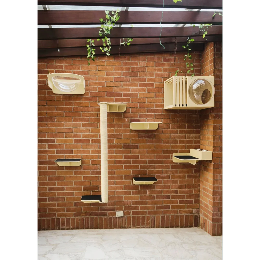 Gimnasio Pared - Diversión, descanso y ejercicio en un solo espacio - Combo #1