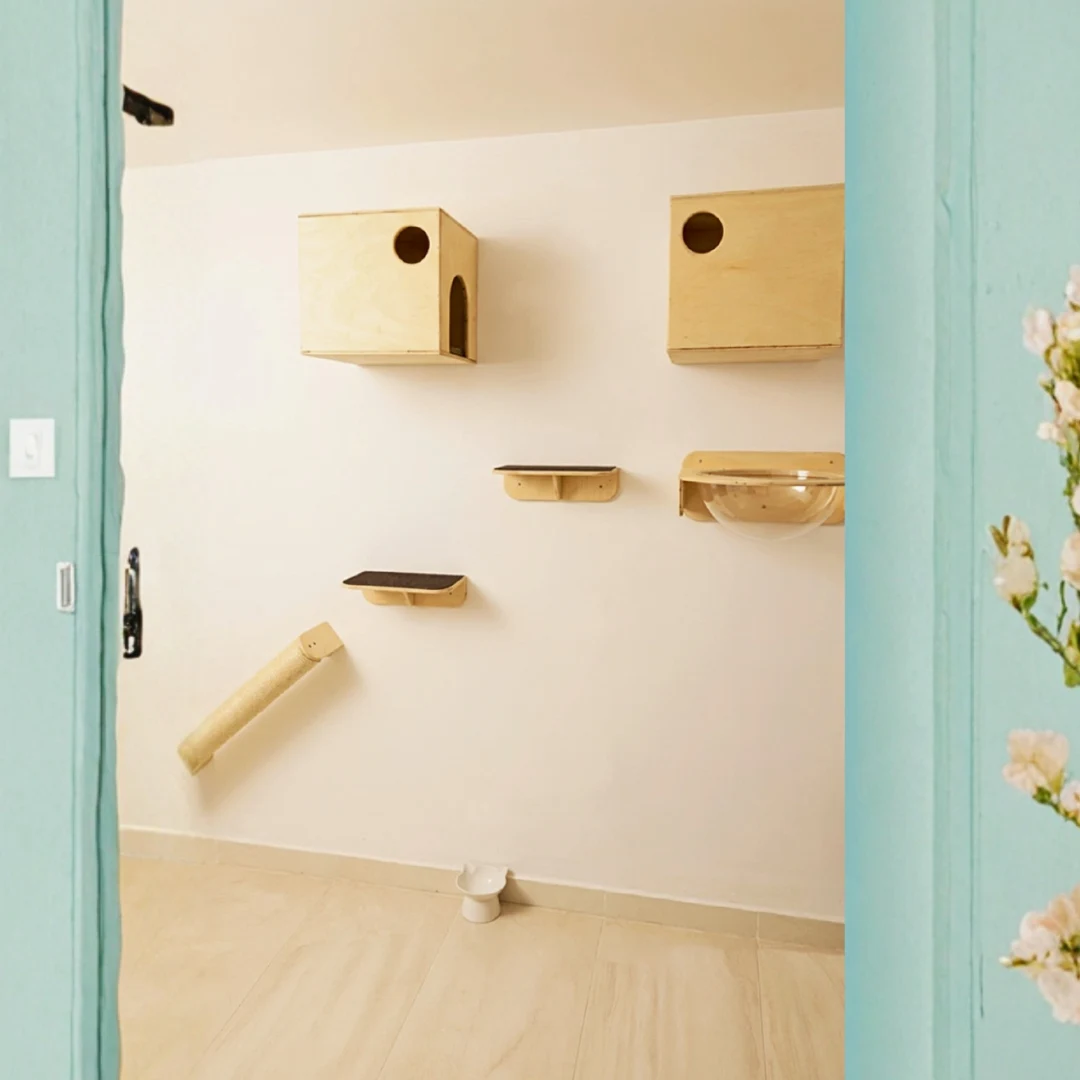 Gimnasio Pared - con Casas y Repisa Burbuja para Gatos - Combo #12