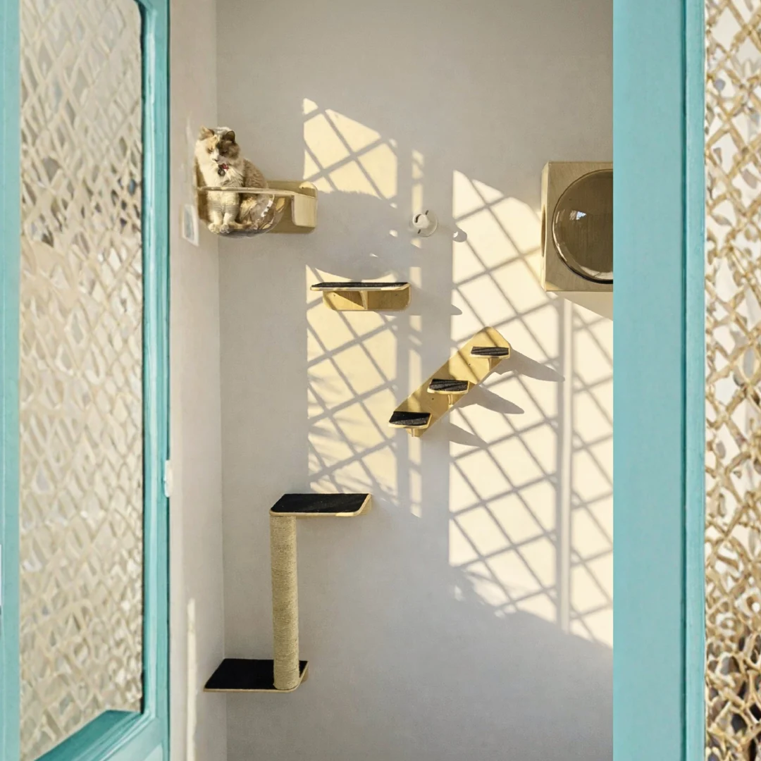 Gimnasio Pared - Con domo y burbuja para Gatos - Combo #15