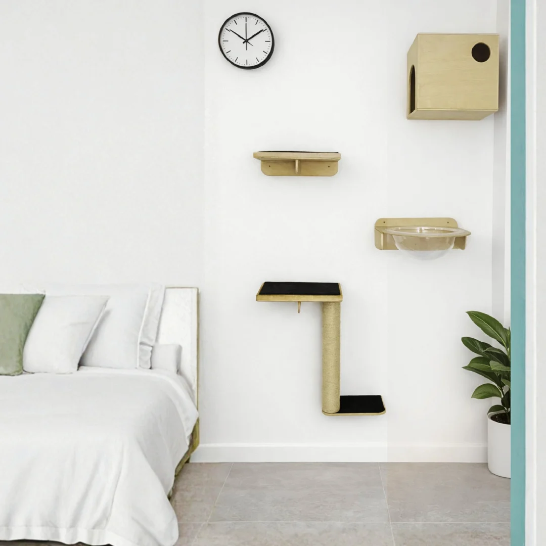 Gimnasio Pared - Compacto con Casa y Repisa Burbuja para Gatos - Combo #4