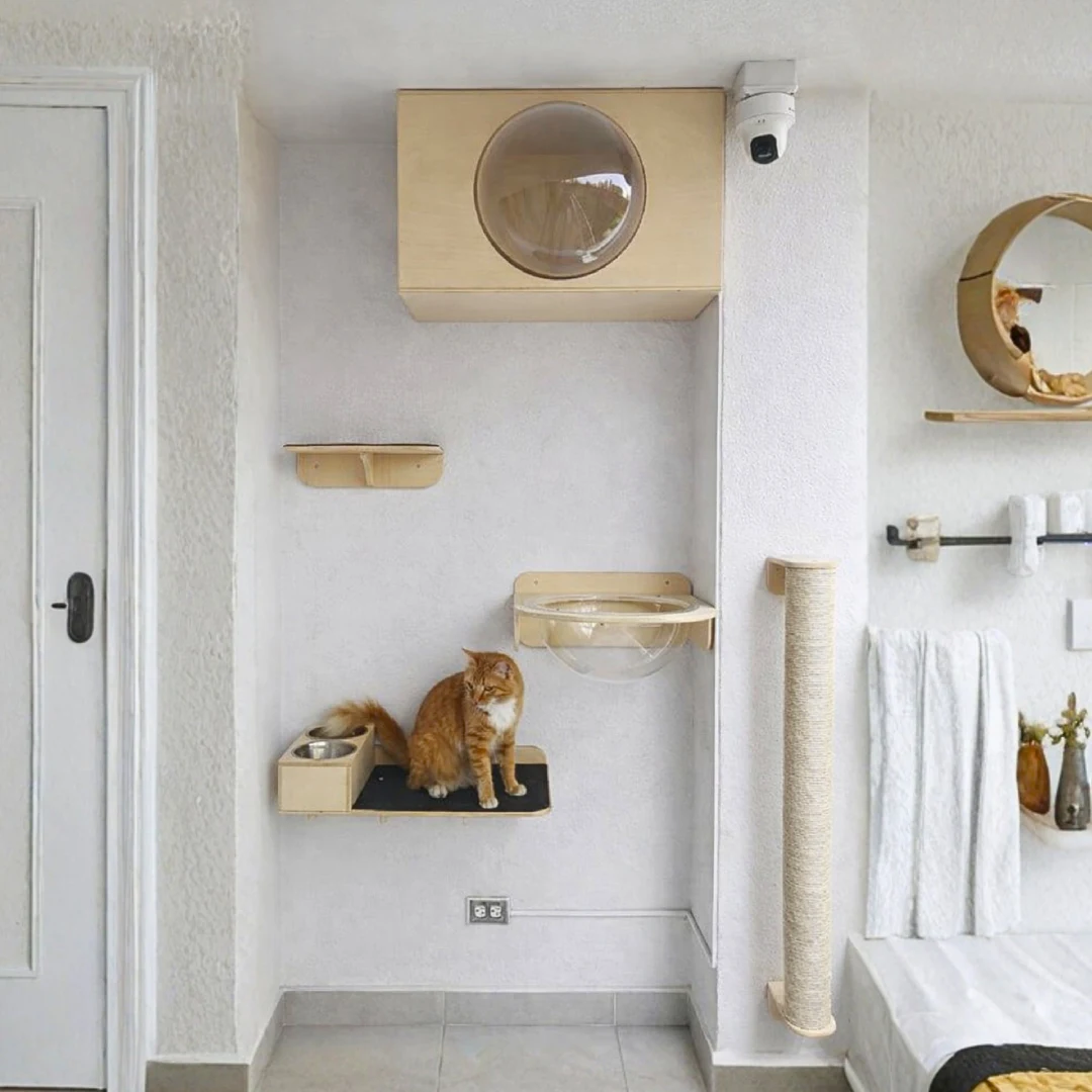 Gimnasio Pared - con Casa Domo y Comedero Integrado para Gatos - Combo #5