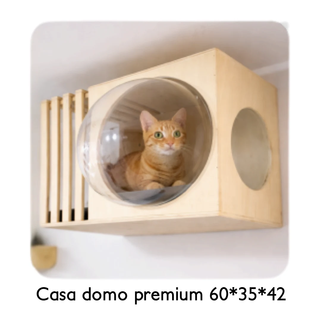 Casas Flotantes para Gatos — Diseño Moderno, Funcional y Ahorrador de Espacio 2 Casas Flotantes para Gatos — Diseño Moderno, Funcional y Ahorrador de Espacio - Imagen 2