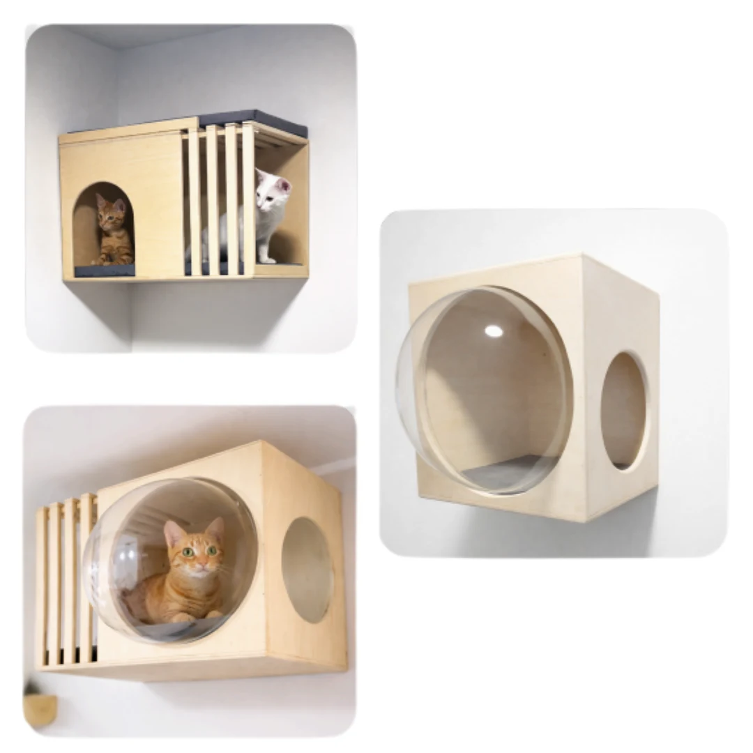 Casas Flotantes para Gatos — Diseño Moderno, Funcional y Ahorrador de Espacio