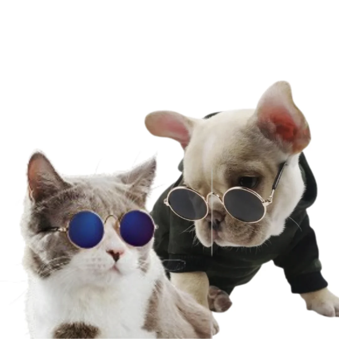 Gafas para Mascotas pequeñas— Estilo Urbano y divertido