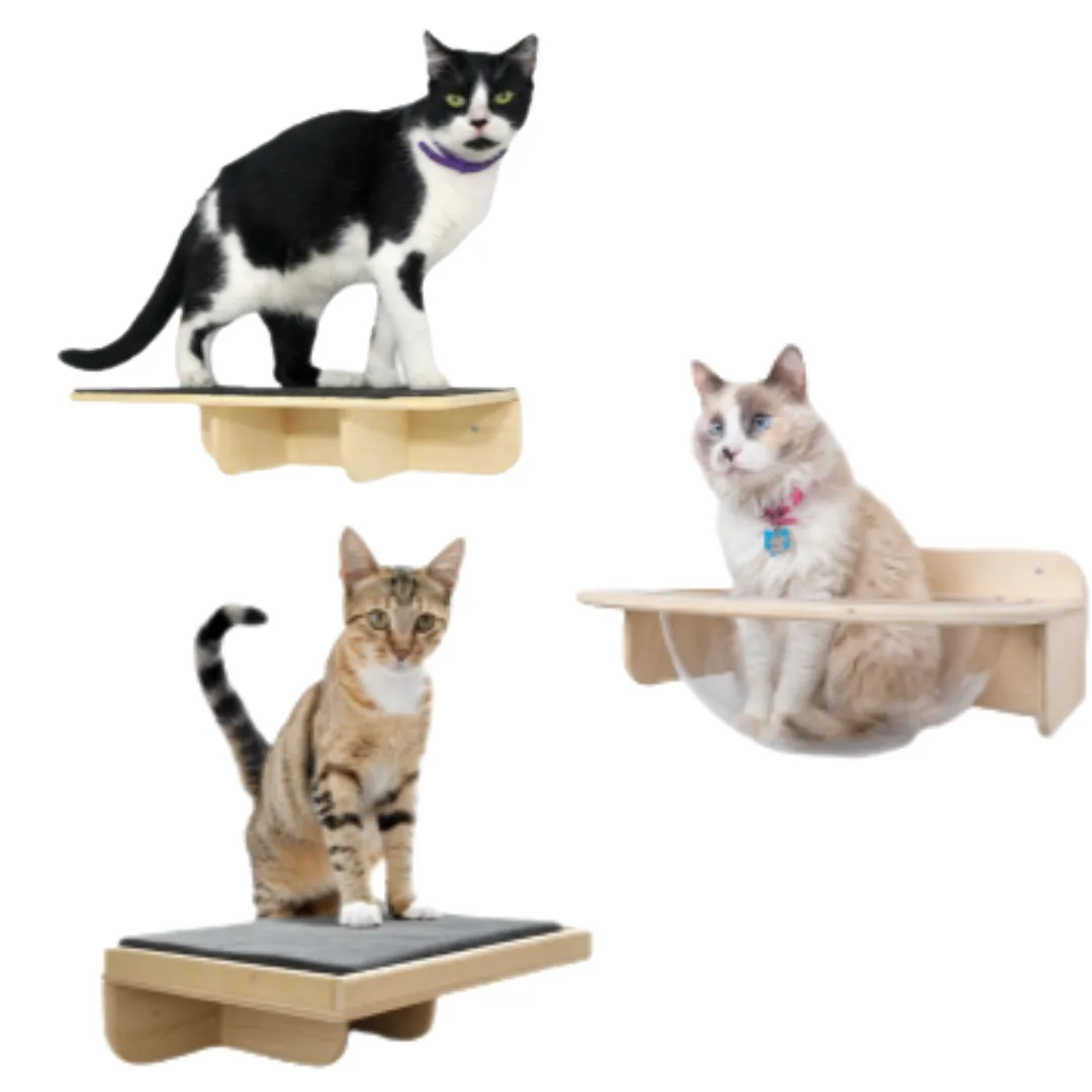 Repisas y Escalera para Gatos — Diseño Funcional para Muros Activos