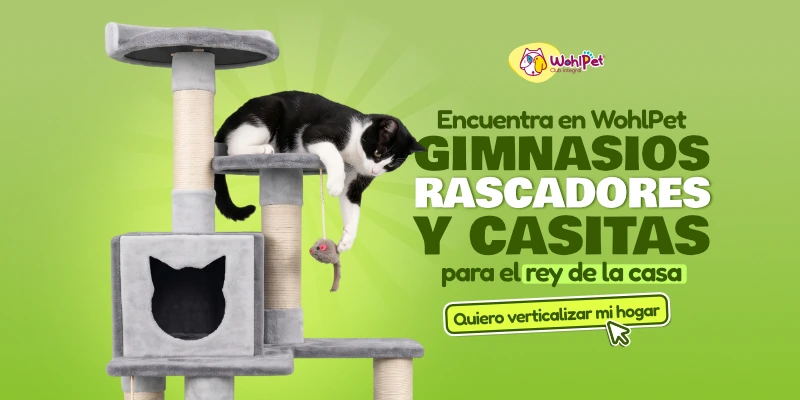 GIMNASIOS PARA GATO_RASCADORES