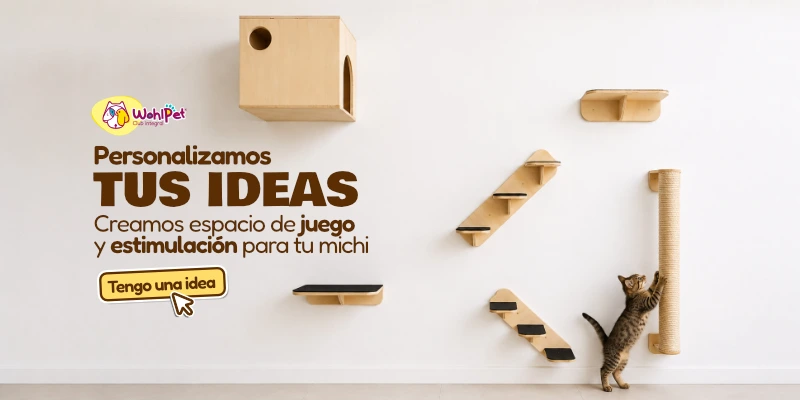 Gatificación