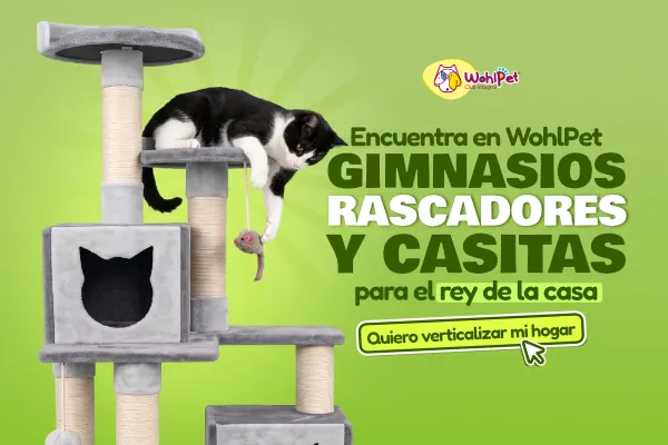 GIMNASIOS PARA GATO_RASCADORES